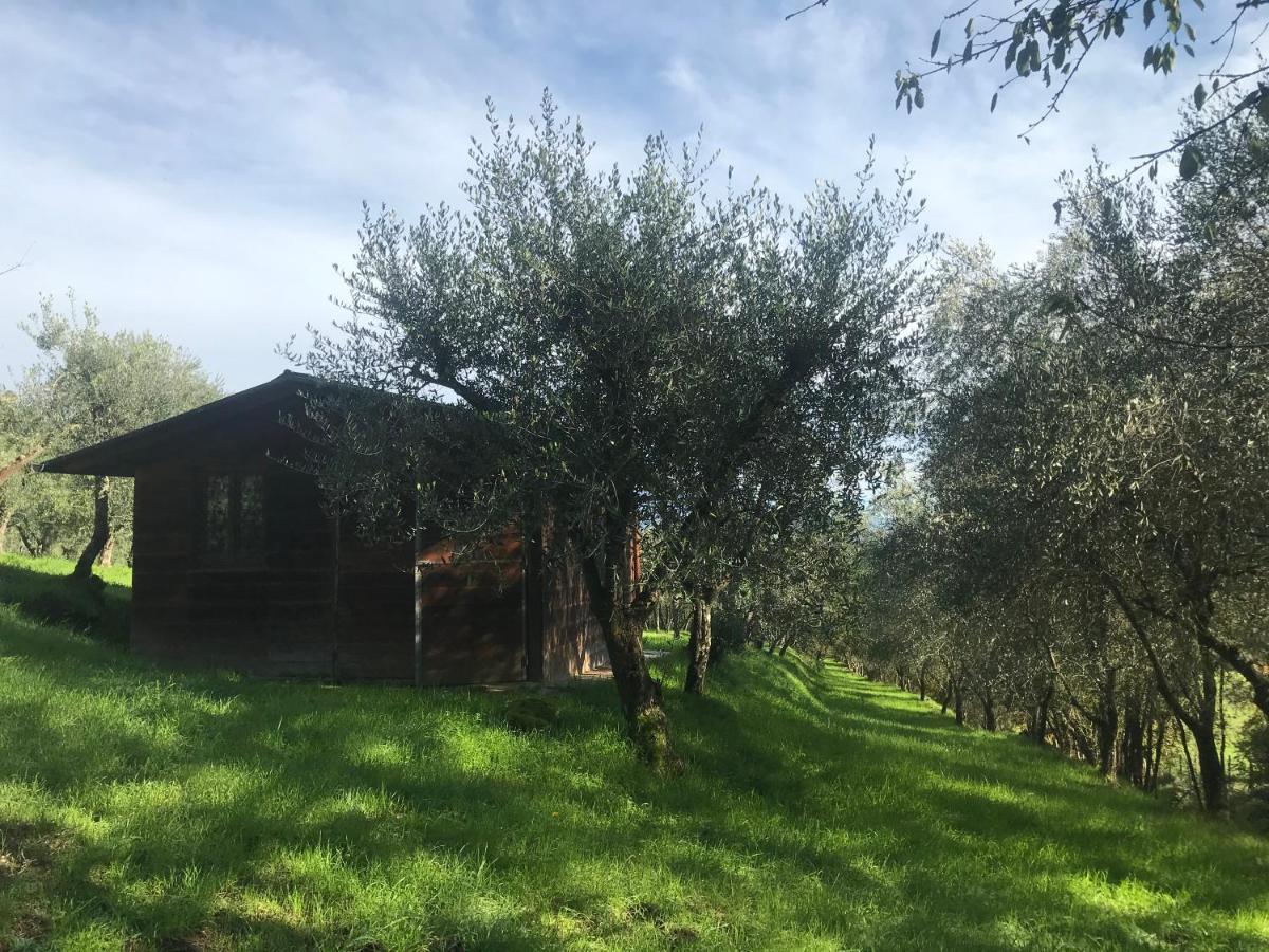 Agriturismo Podere I' Caldino Troghi Exterior foto